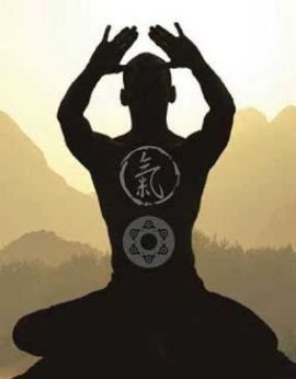 Agopuntura,fitoterapia cinese, dietetica cinese e altra medicina alternativa a Pavia e provincia con dottoressa Rotolo Grazia